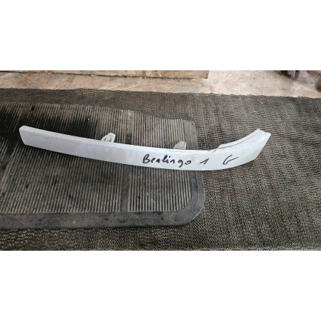 MOUSTACHE PHARE G BERLINGO I